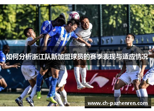 如何分析浙江队新加盟球员的赛季表现与适应情况