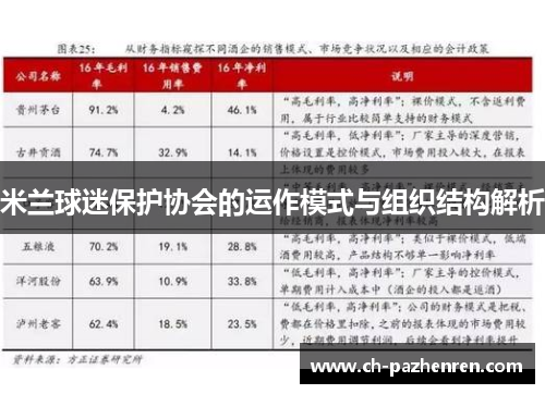 米兰球迷保护协会的运作模式与组织结构解析