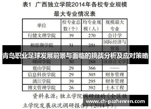 青岛职业足球发展前景与面临的挑战分析及应对策略